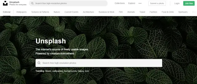 لماذا موقع Unsplash هو أفضل موقع الصور