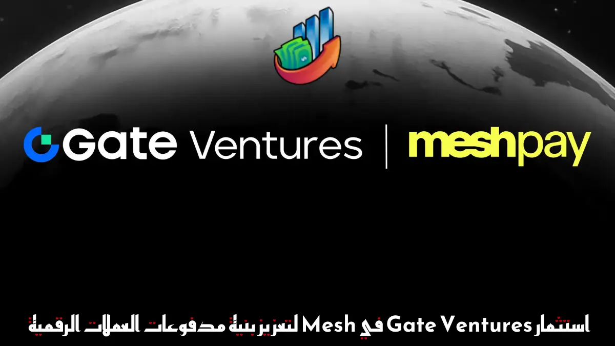 استثمار Gate Ventures في Mesh